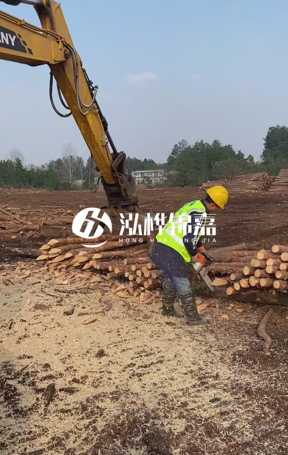 滁州挖機(jī)打木樁專業(yè)施工-河道打木樁與河岸加固關(guān)系？